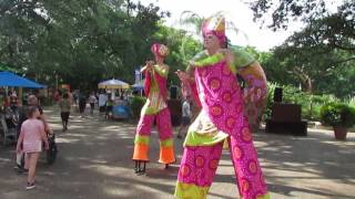 Feeling the Vibe at Busch Gardens Summer Nights :D