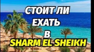 Едут Ли Туристы в Египет ? Нашествие  Черепах