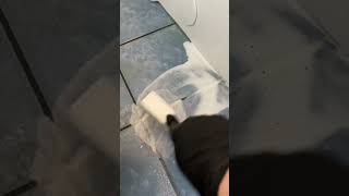 Grout Cleaning