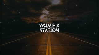 TonyZ - Road So Far (Inspired By Alan Walker) | Whale X Station |