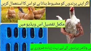 Vitamin E for Chickens | Evion Capsule For Poultry Birds | Dr. ASIF