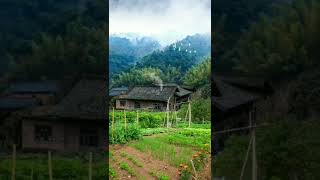 Nature | China village, China forest village, Nature 4k video, Short video