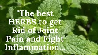 "The Best Herb To Get Rid of Joint Pain and Fight Inflammation..."