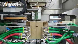 Automatic BFS secondary polishing machine ampoule filling all-in-one machine