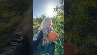 come to the pumpkin patch 🎃🧡 #fallvibes #minivlog #pumpkinpatch #halloween2024 #halloween #date