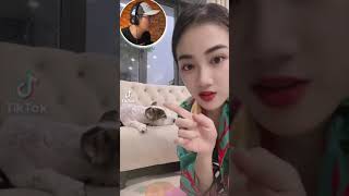 Dog's REACTION when asked FOR MONEY - PHẢN ỨNG Của Cún Khi Được Xin TIỀN - #Shorts