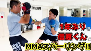 弟子入りして1年経った信原くんとMMAスパーリングしてみた。