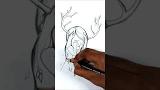 Sad Deer Girl/how to draw a cute girl #shorts #trending #youtubeshorts