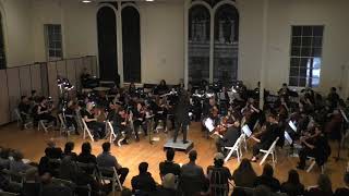 Dvorak: Symphony no. 8 in G, 1st movement