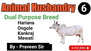 Animal Husbandry// Dual Purpose Breed