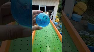 Marble Run☆Handmade Wooden Gutter Combined Slope & Single Blue Dragon Ball ② #asmr