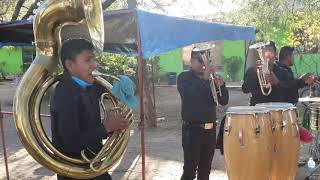 Tecateando - Banda La Matona de Oaxaca