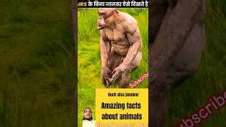 kuch aisa janawar | amazing facts about animals | #shorts#amazingfacts#animals#monkey#factsinhindi#7