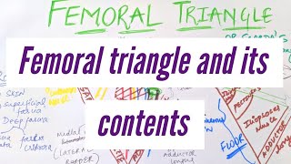 FEMORAL TRIANGLE AND ITS CONTENTS