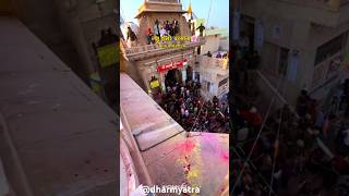 Laddu holi barsana 2024|| #barsana #barsanaholi #shorts #shortsfeed