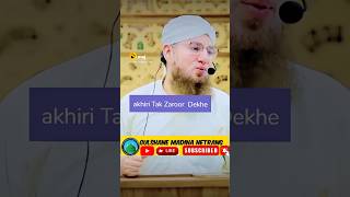 hafiz e quran ki fazilat || #abdulhabibattari #shorts #youtubeshorts #viral #shortsfeed