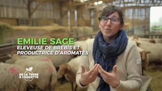 De la terre à l'assiette - épisode 4