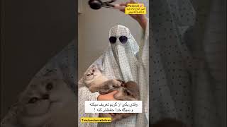 وقتی یکی از گربه من تعریف می کنه و نمیگه خدا حفظش کنه ،پارسیان کت مرکز خرید و فروش گربه در ایران#cat