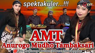 SPEKTAKULER...!!! ANUROGO MUDHO TAMBAKSARI||AMT||LIVE SEMBONG GANDON KALORAN TEMANGGUNG