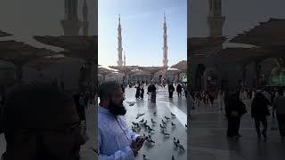 Entry in Al Masjid an Nabawi🤲🤲🤲#Short@ADIL EYE VLOGS