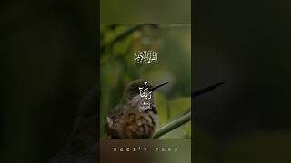 Best Dua #shortvideos #deenvibes #islam #motivation #motivation #ytshorts #islamicstatus