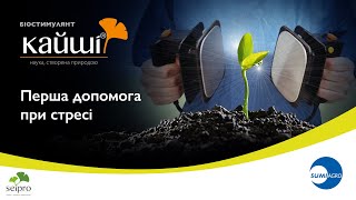 Біостимулянт КАЙШІ - перша допомога при стресі