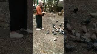 kasih mam burung dulu .. Jangan lupa SUBSCRIBE ya teman..