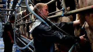 John Dunne Farm Open Day - Dairymaster 26-Unit Swiftflo Swing Parlour