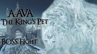 Aava, the King's Pet Boss Battle | Dark Souls II