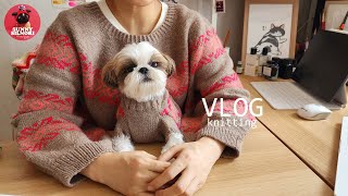 [뜨개하며독서 vlog-15]개더워 나도더워 빨리찍고 후딱벗자ㅣJuoseppi by Maiju Räsänen 완성ㅣ WIPㅣ뜨개로그ㅣ knittingㅣ1인1견가구 l 일상