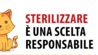 GATTI/PERCHÉ STERILIZZARE NON È ATTO DI EGOISMO!!