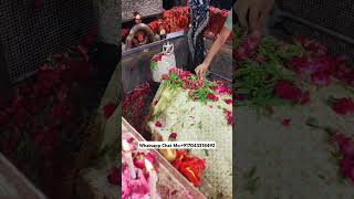 📸Mira datar dargah sharif ❤️most famous new 😍 whatsapp status khadim contact+917043318492 📷