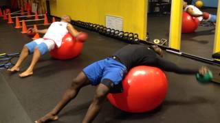 Fitnex Physioball: Full Body Extension