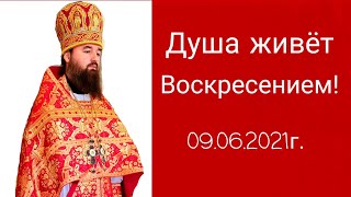 Отдание Праздника Святой Пасхи!
Архимандрит Спиридон (Ходанич).