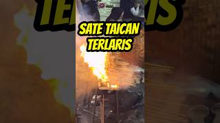 SATE TAICAN TERLARIS