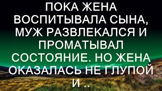 Пока жена воспитывала сына, муж развлекался и проматывал состояние. Но жена оказалась не глупой и