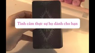 ONLY TAROT || TÌNH CẢM THỰC SỰ HỌ DÀNH CHO BẠN