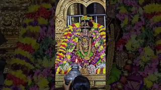 காஞ்சி ஸ்ரீ பெருந்தேவி தாயார் வெள்ளிக்கிழமை புறப்பாடு #kanchi