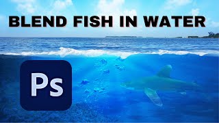 Add Fish in water and Blend technique in photoshop | Photoshop fish blending technique