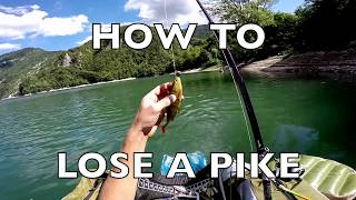 HOW TO LOSE A PIKE !