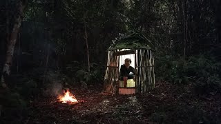 Membangun tempat perlindungan dihutan borneo||Solo camping survival