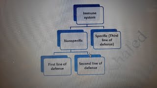 Immune system first line of defense for American diploma SAT/EST-2 students - Dr.Mohamed Khaled