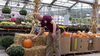 Louisville Fall Decor at Frank Otte Nursery