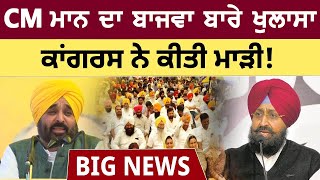 CM Bhagwant Mann targets Partap Singh Bajwa in his new speech | Lok Sabha Elections 2024 | Bolly Fry