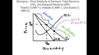 Elasticity of Demand & Marginal Revenue