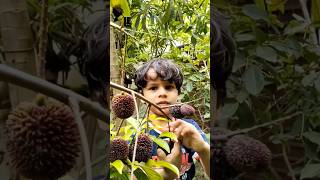 Pulasan Fruit 🍇🍓#cuttingfruit #youtubeshorts #pulasanfruit