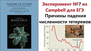 Эксперимент №7 из Campbell для ЕГЭ - Причины падения численности тетеревов