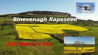 DJI Mavic 2 Pro - Rapeseed Field & Binevenagh