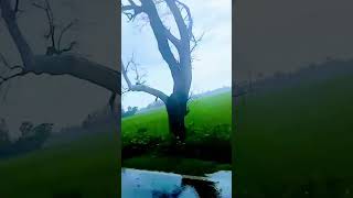 Ride shere #reels  #nature #trees #sky #rainyday #reelsvideo  #view  #vlog  #friends  Happy Shahin67