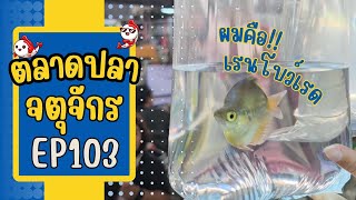 ทัวร์ตลาดปลาจตุจักร โซนลานเร่ EP 103 วันที่ 14 ส.ค. 67